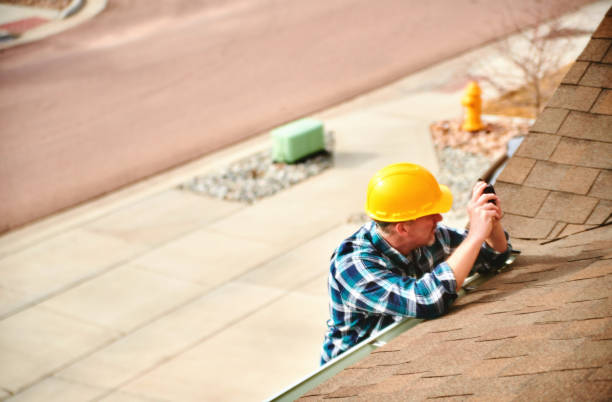 Best Roof Moss and Algae Removal  in Pell City, AL